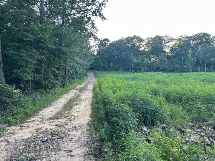 Property Photo:  000 Private Road 4485 Road  AR 72854 