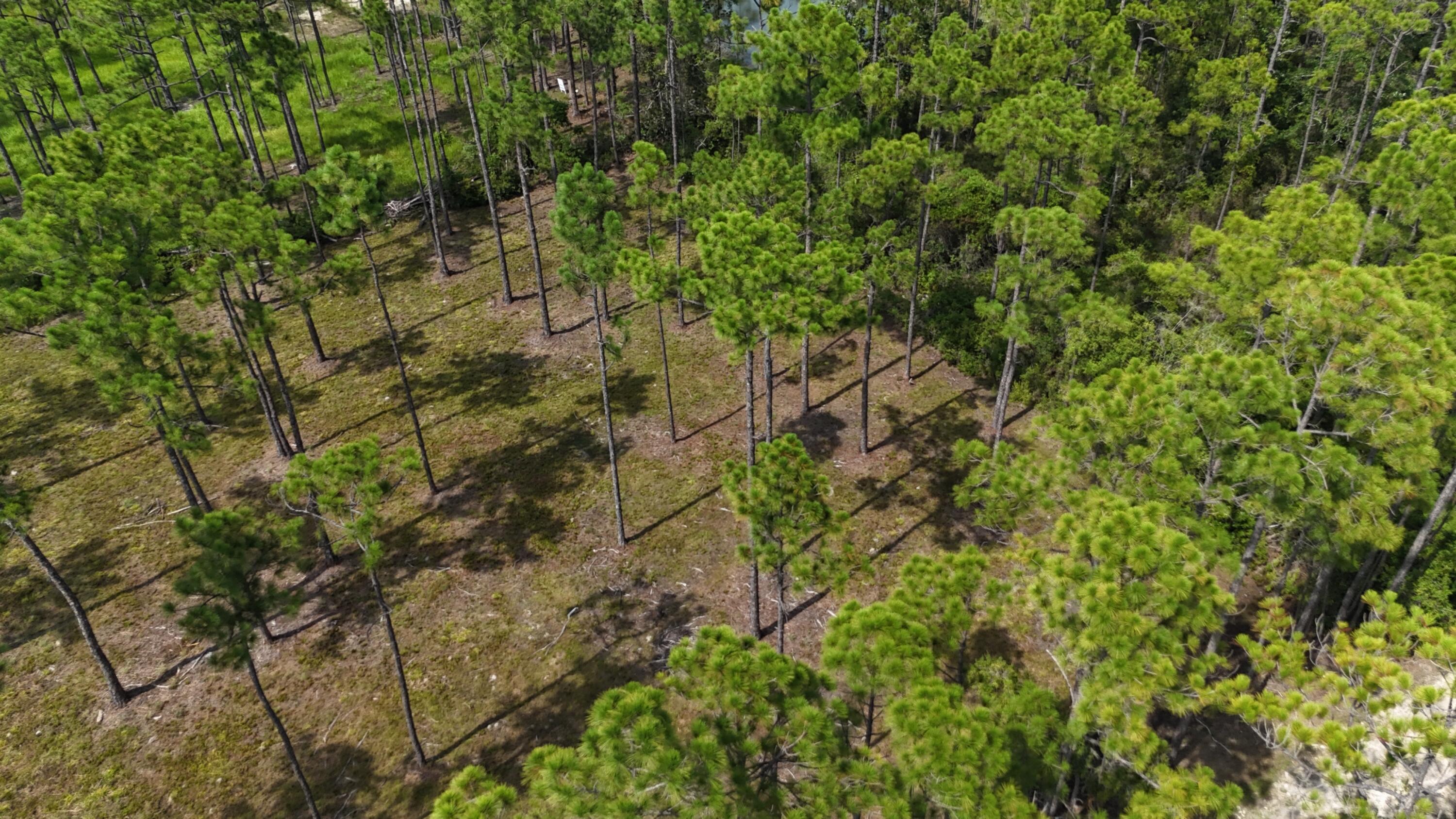 Property Photo:  Lot 4 Foxmire Farm Rd  FL 32459 
