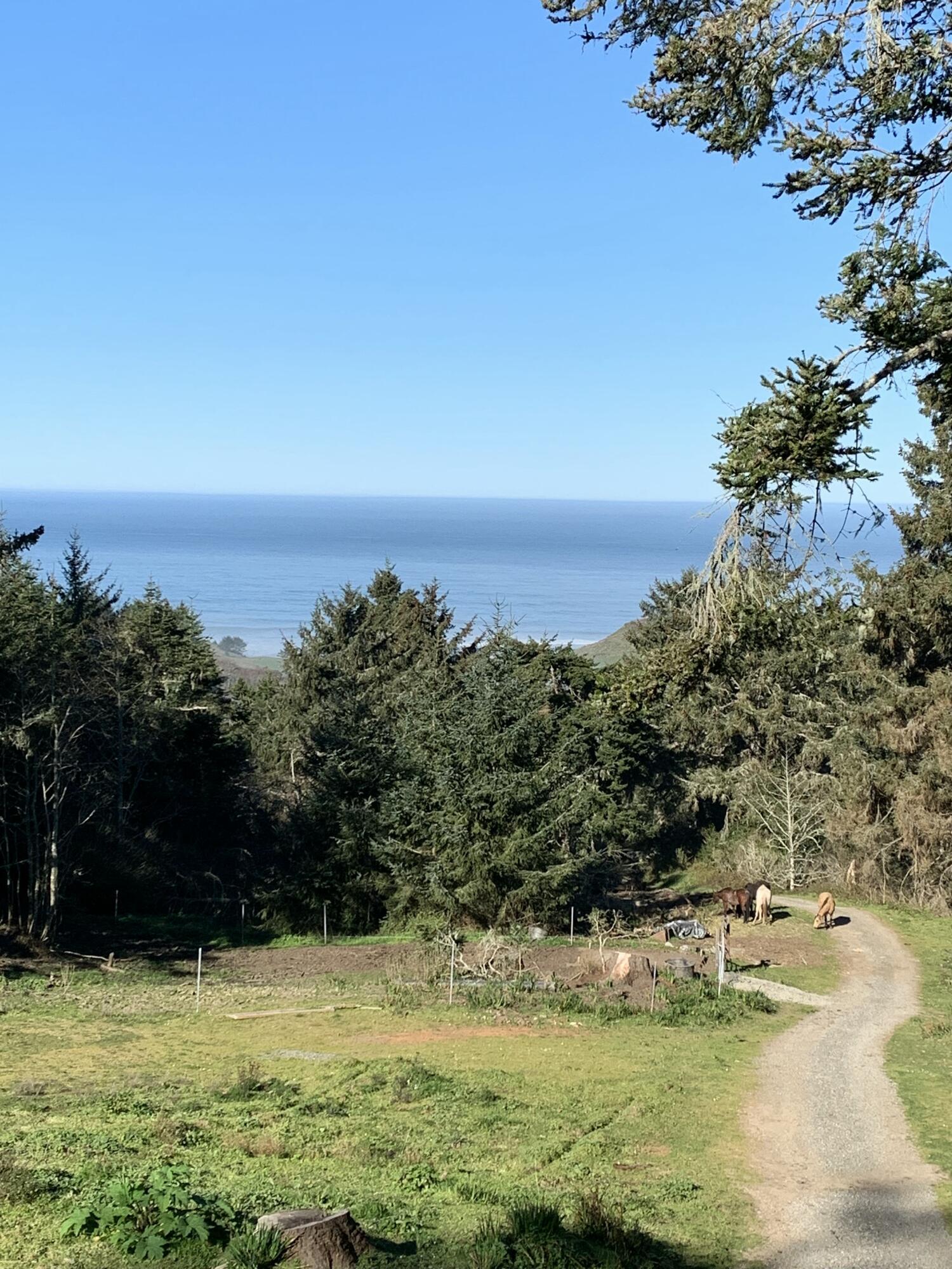 Property Photo: 0 Centerville Road CA 95536