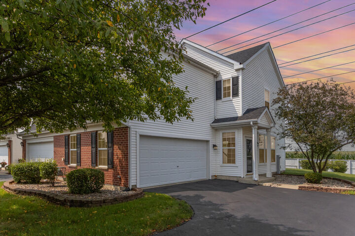 Property Photo: 313 Parkside Drive IL 60404