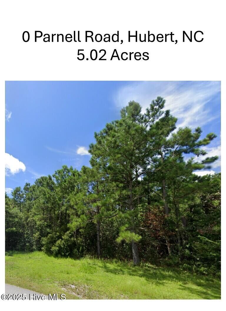 Property Photo:  0 Parnell Road  NC 28539 