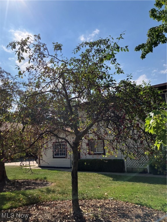 Property Photo:  237 Greenbriar Court  OH 44143 