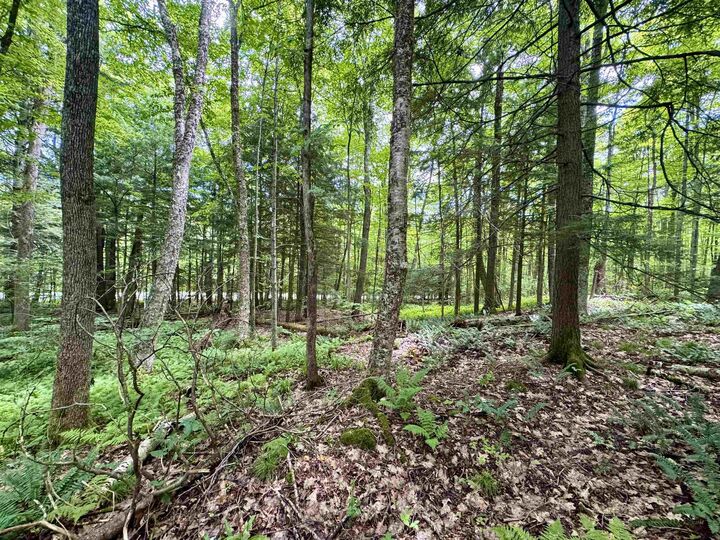 Property Photo: 0 Tyler Farm Road VT 05051