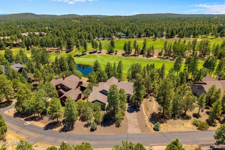 3990 W Sugar Pine Loop  Show Low AZ 85901 photo