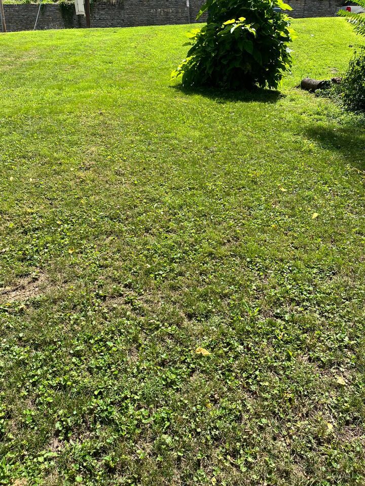 Property Photo: 1889 Walker Street OH 45202
