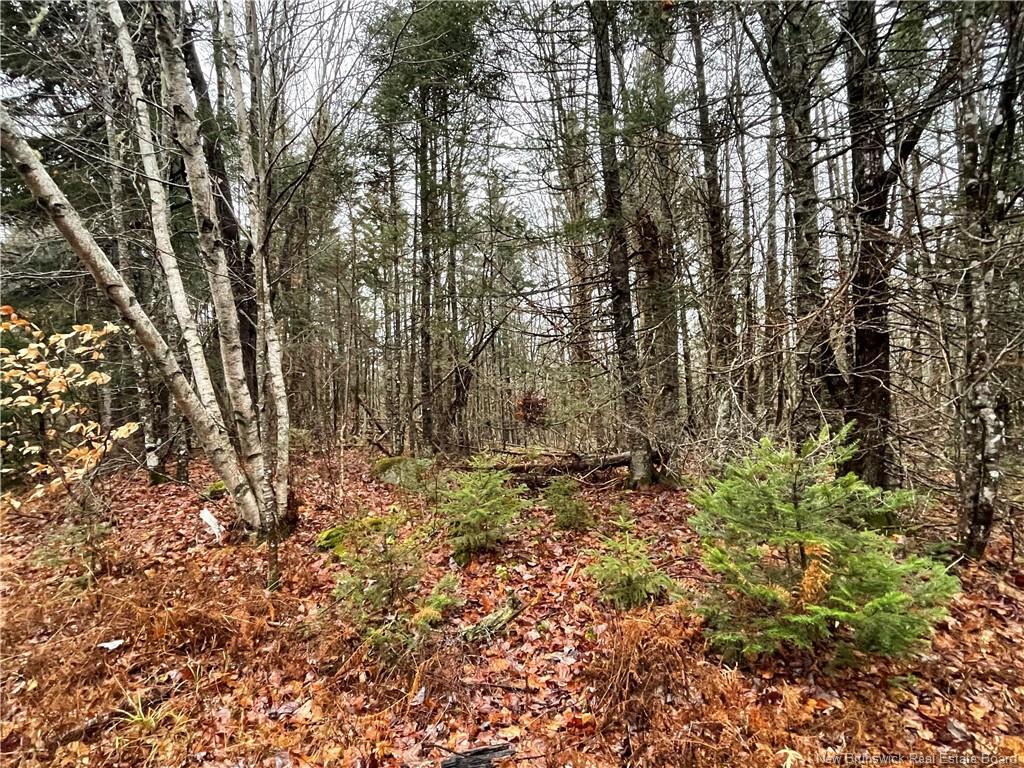Property Photo:  Woodlot Royal Road  NB E3A 6L9 