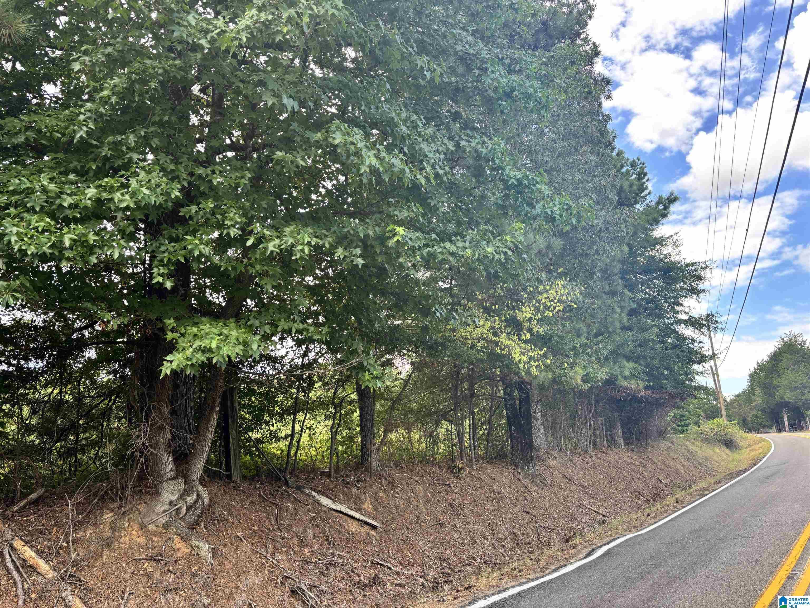 Property Photo: 9490 Bankston Road 1 AL 35062