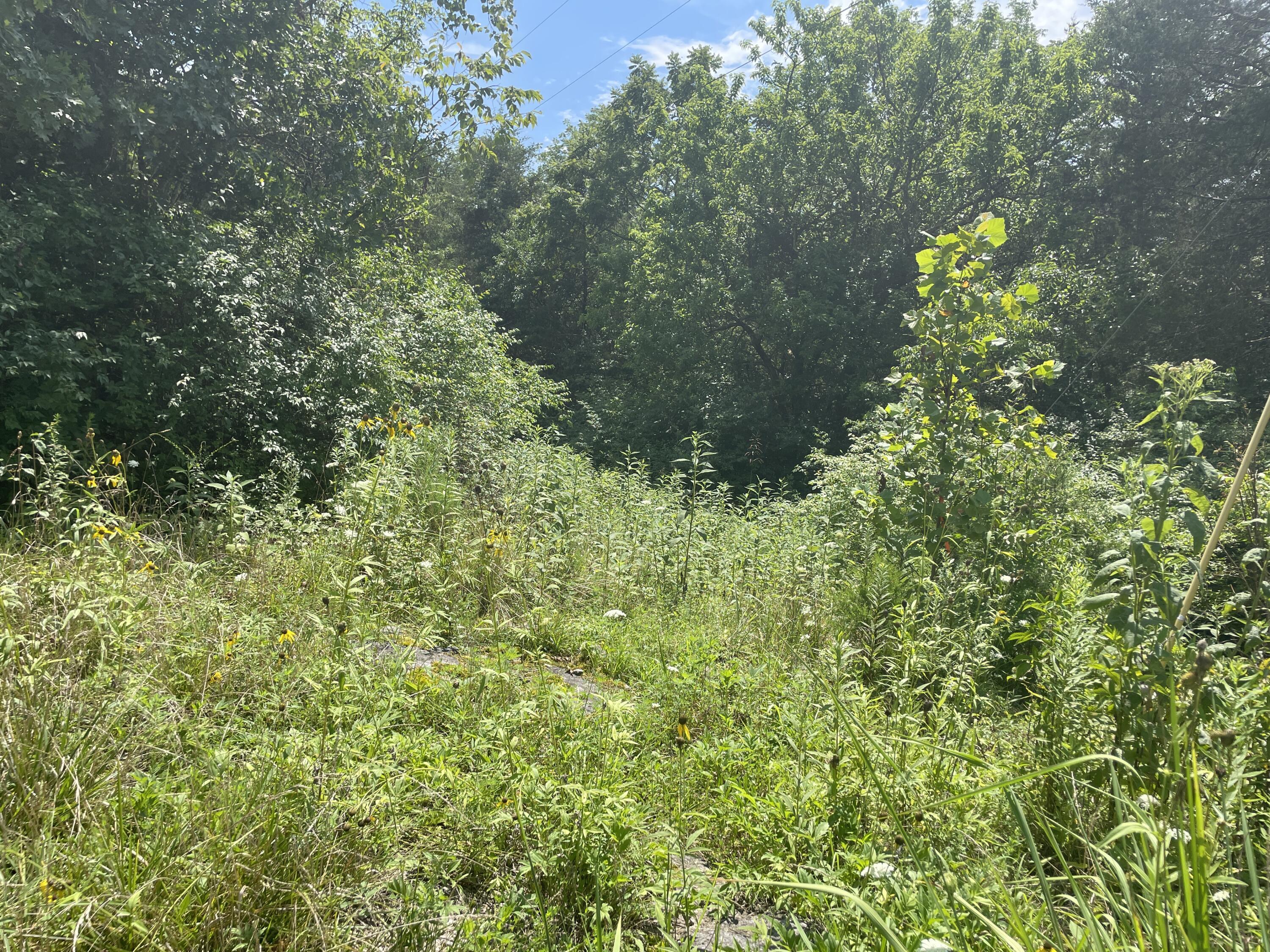 Property Photo: 2750 Shadrick Ferry Road KY 40601