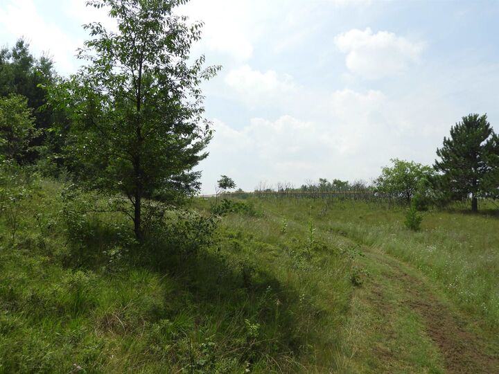 Property Photo:  Xxxx Moon Dr  WI 54847 