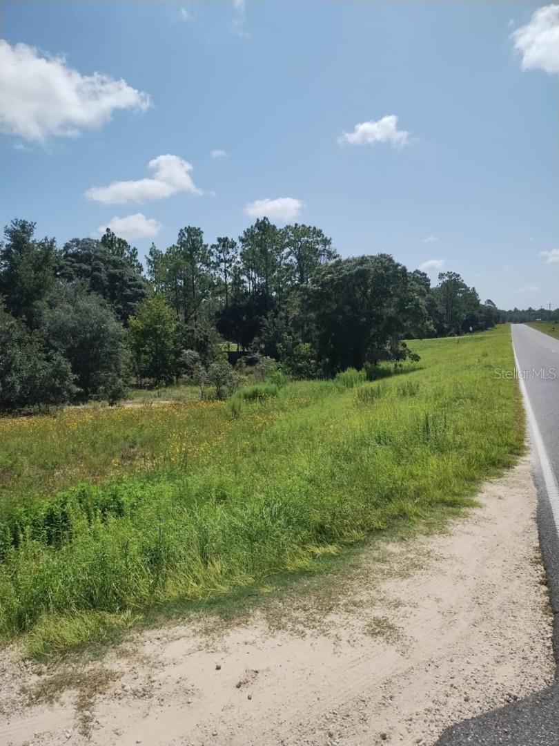 Property Photo: 0 Levy Street E FL 32696