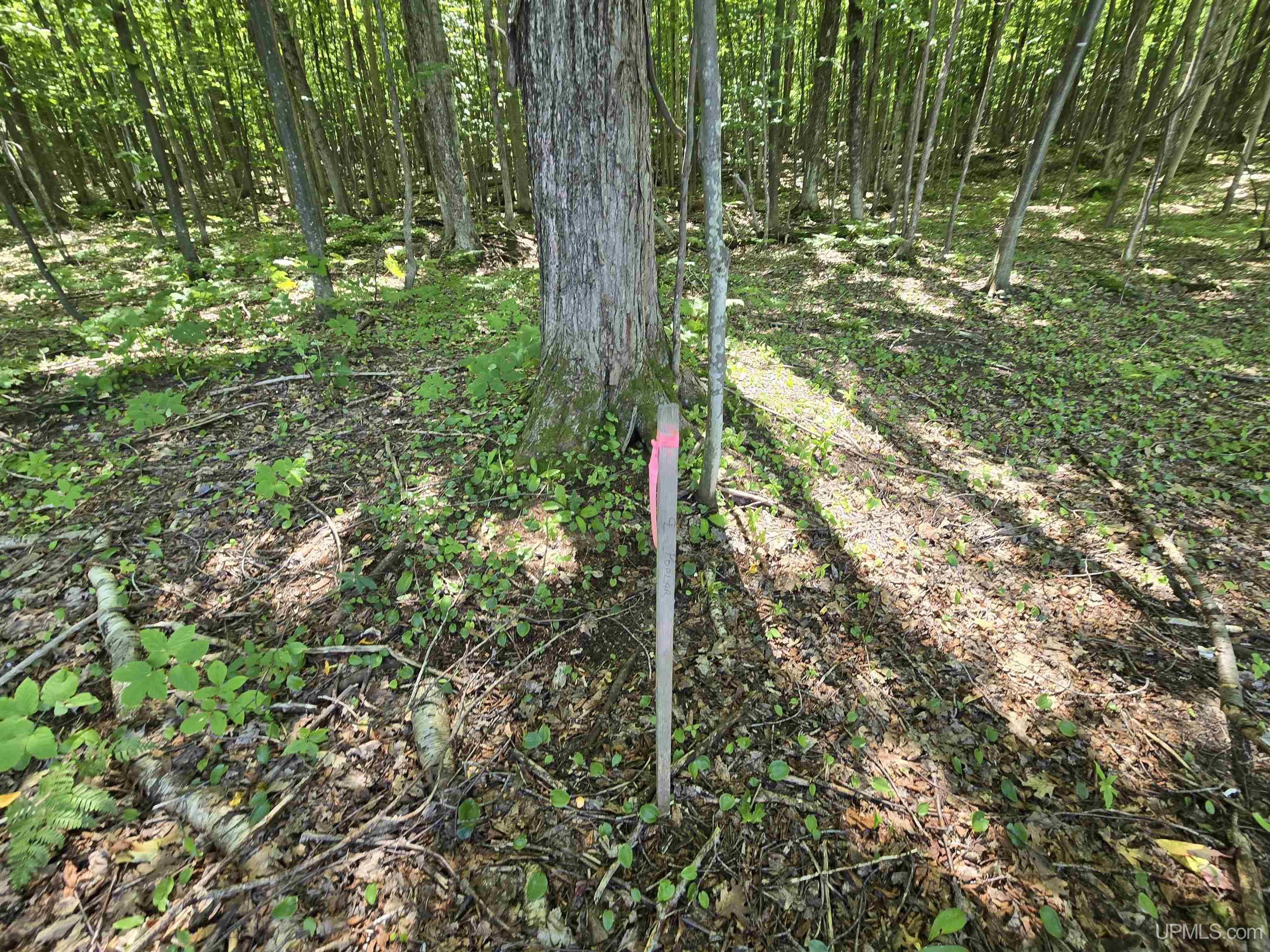 Property Photo: 1905 Poplar Drive MI 49931