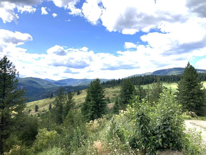 #T Buffy Ln  Inchelium WA 99138 photo