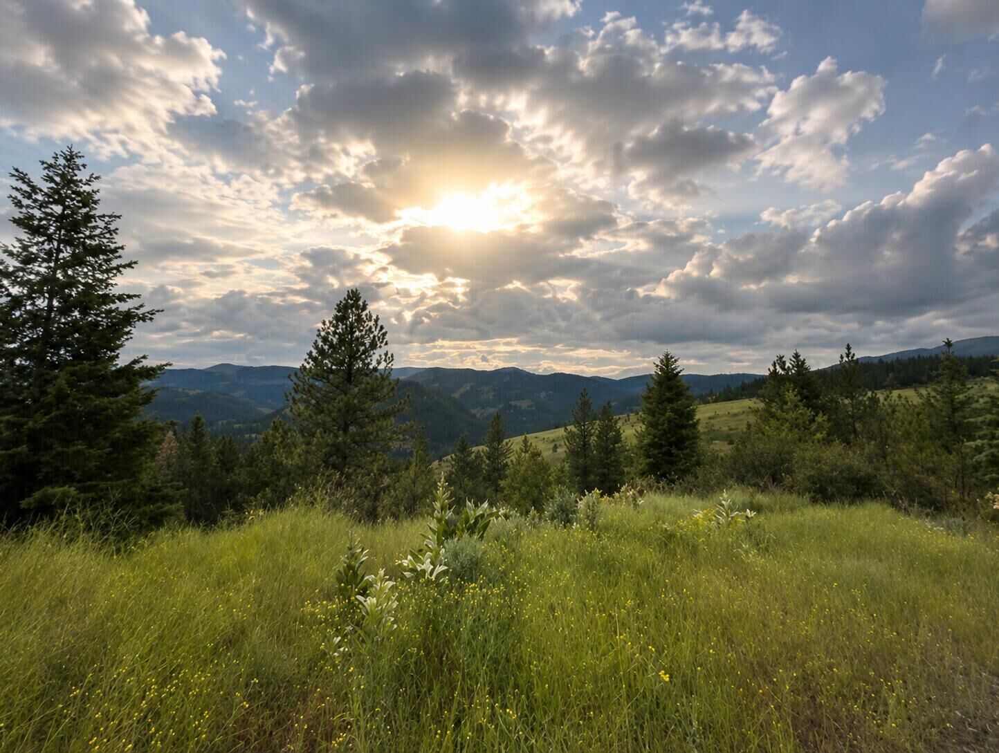 Property Photo:  #T Buffy Ln  WA 99138 