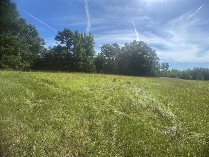20.869 Ac Cr 4426  Winnsboro TX 75494 photo