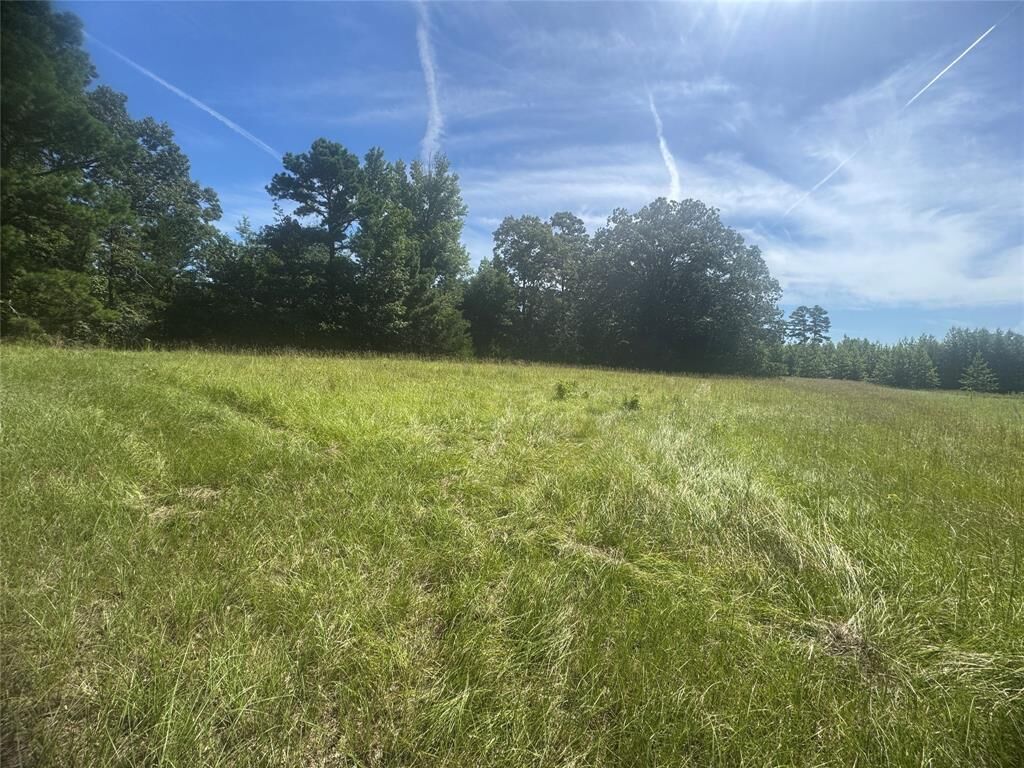 Property Photo:  20.869 Ac Cr 4426  TX 75494 