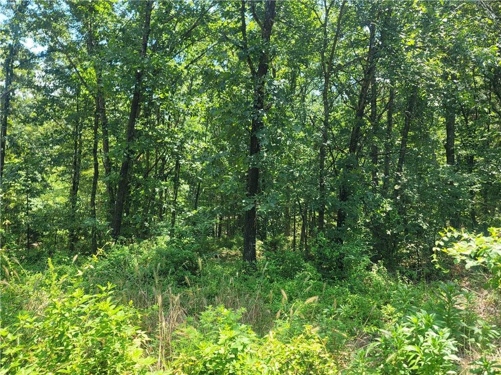 Property Photo: Lot 22, Block 4 Nairn Lane AR 72715