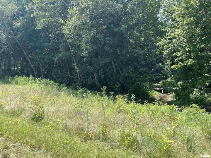 Property Photo: 000 State Route 146 W Street IL 62995