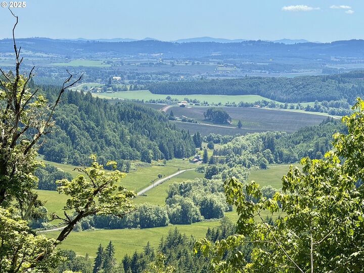 11894 SW Dupee Valley Rd  Yamhill OR 97148 photo