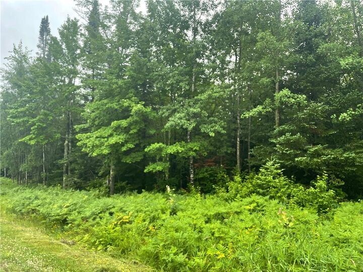 40 Acres Corner Of Cty N And Mackenberg Rd  Glidden WI 54527 photo