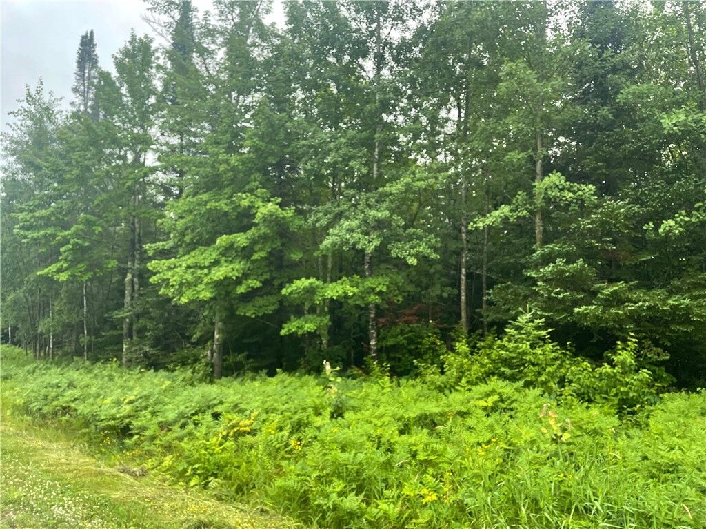 Property Photo:  40 Acres Corner Of Cty N And Mackenberg Rd  WI 54527 