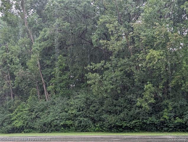 3.4.5 Alpine Valley  Star Twp MI 49659 photo