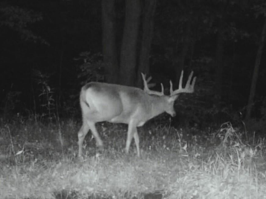 Property Photo:  149 Ac M/L County X  WI 54655 