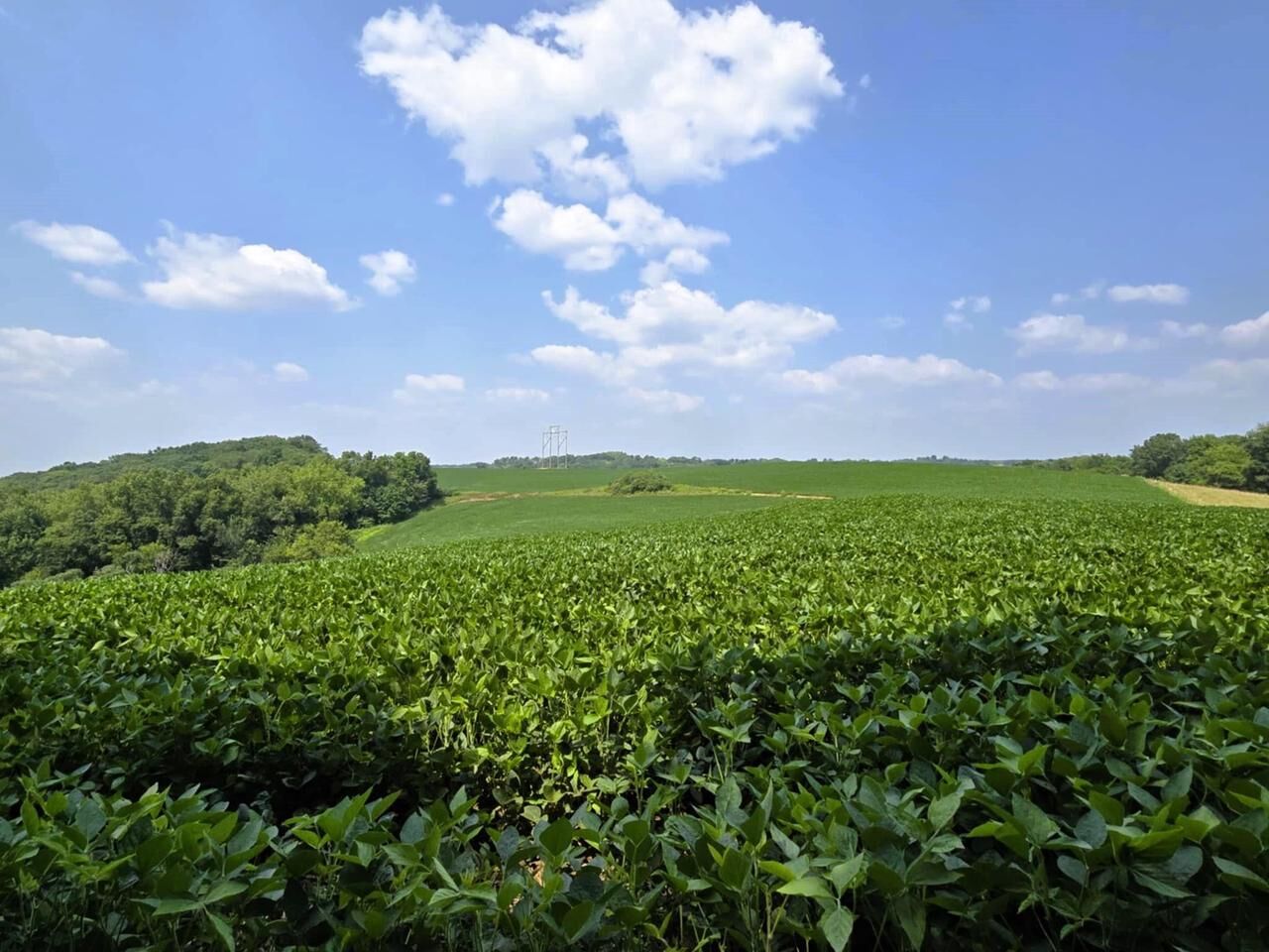Property Photo:  149 Ac M/L County X  WI 54655 