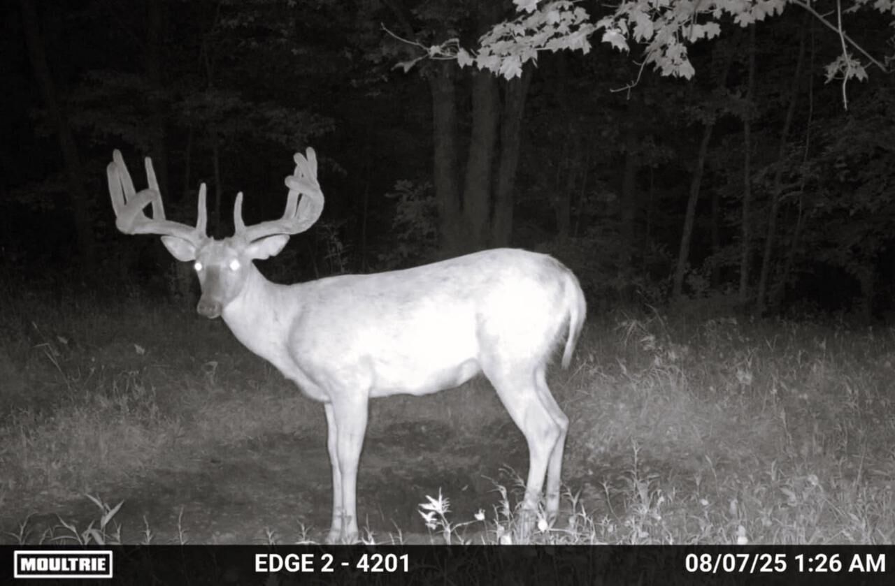 Property Photo:  149 Ac M/L County X  WI 54655 
