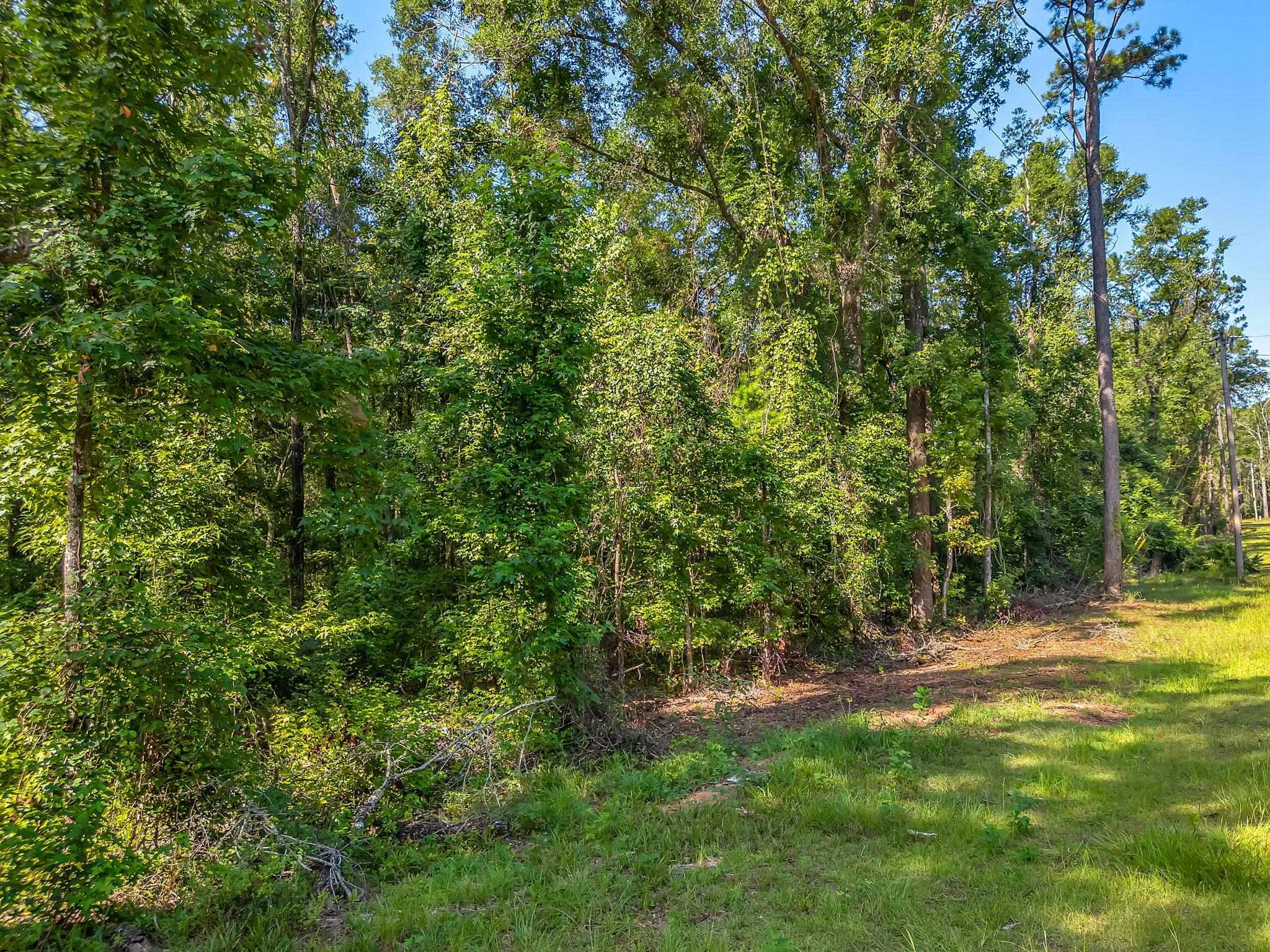 Property Photo: 635 Quail Lane FL 32344