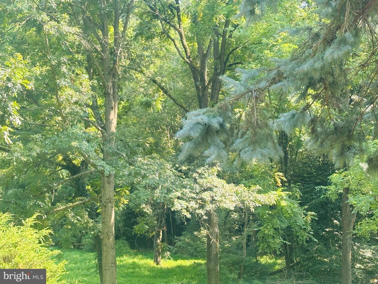 Property Photo: 0 S Foxianna Road PA 17057