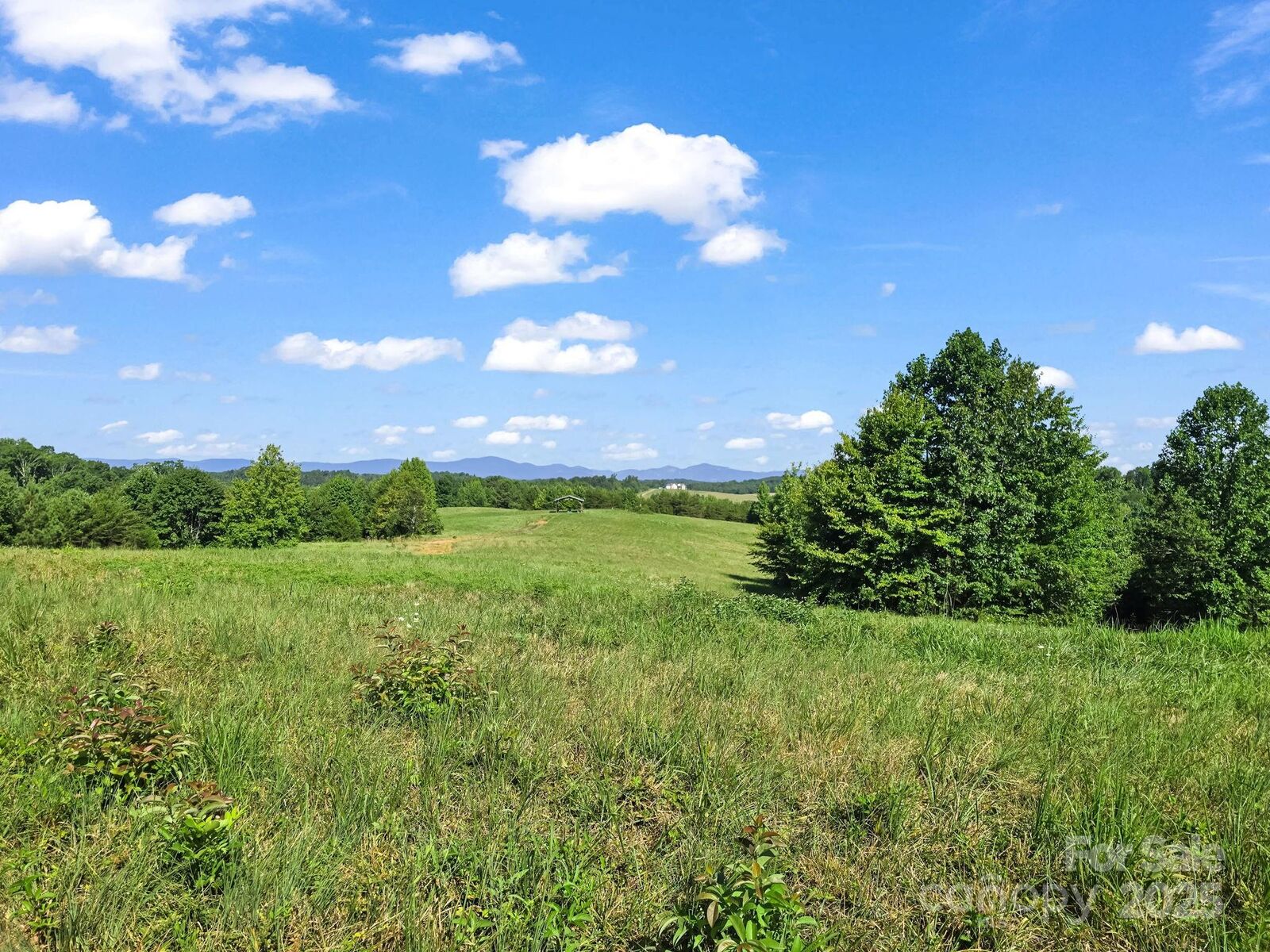 Property Photo:  0 Ring Farm Drive  NC 28139 