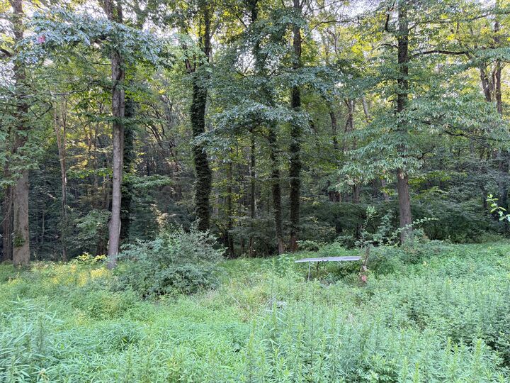 Property Photo:  871 Morrow Rd  PA 15747 