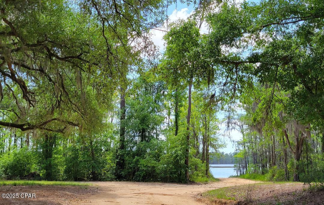 Property Photo: Lot 2 Converse Avenue FL 32428