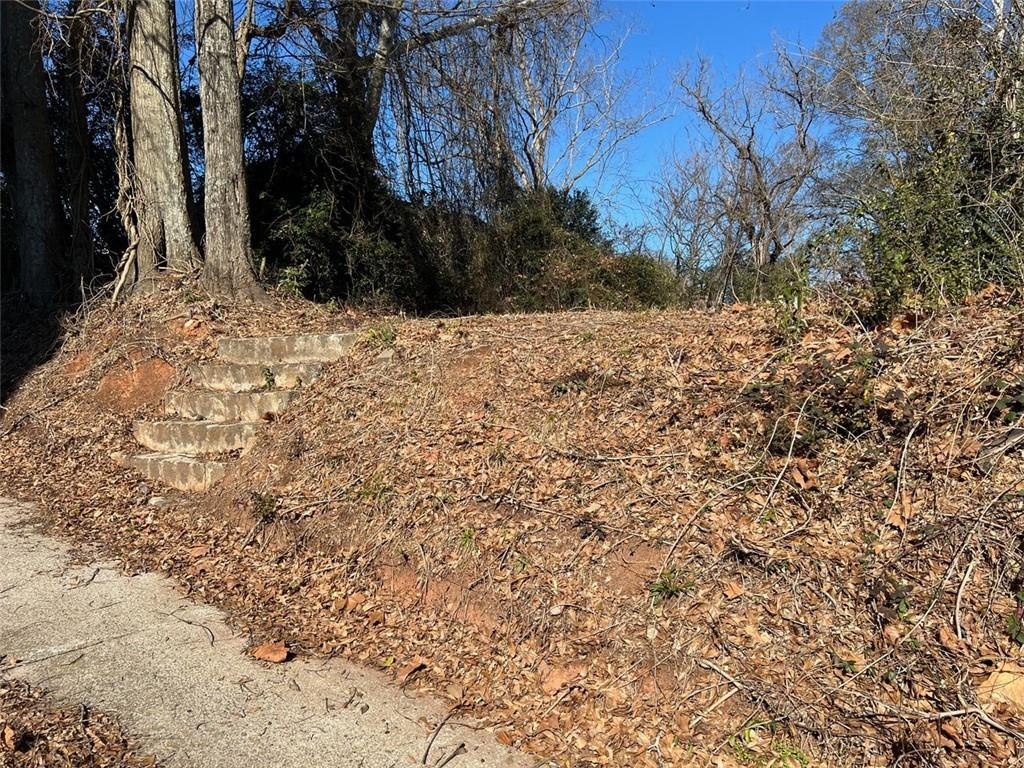 Property Photo: 113 W Washington Street GA 30263