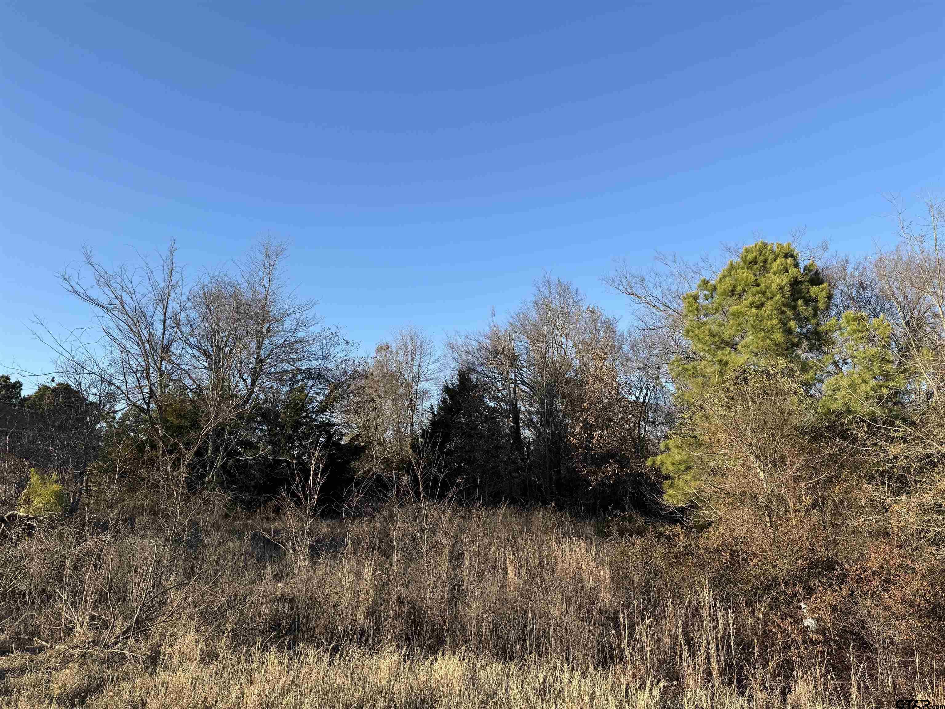 Property Photo: 13358 Nance Ln TX 75771