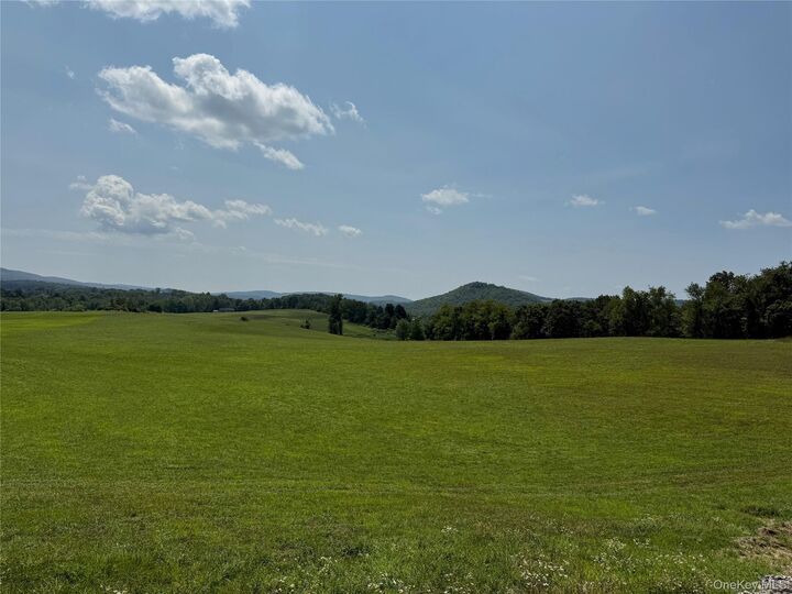 Property Photo:  1131 E Ancram Road  NY 12503 