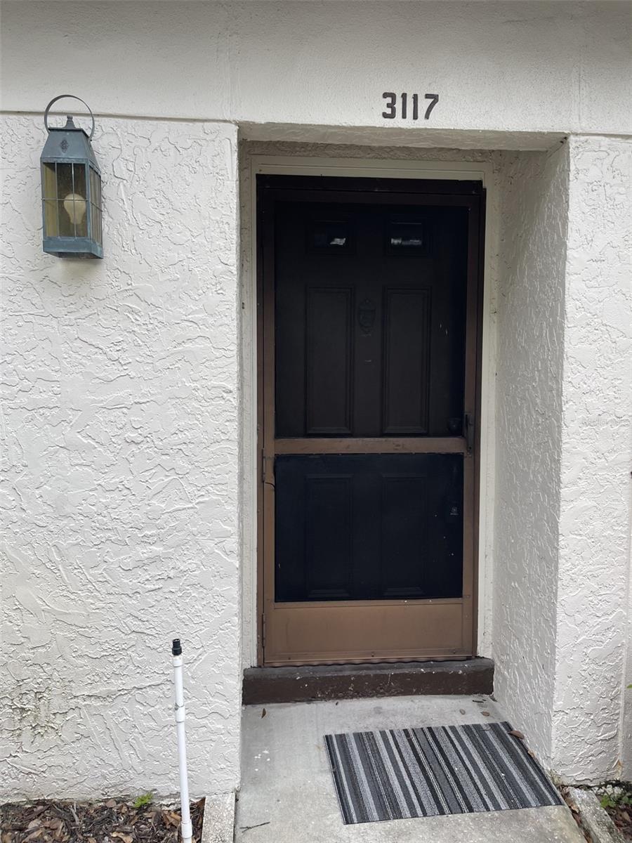 Property Photo: 3117 Mission Grove Drive FL 34684