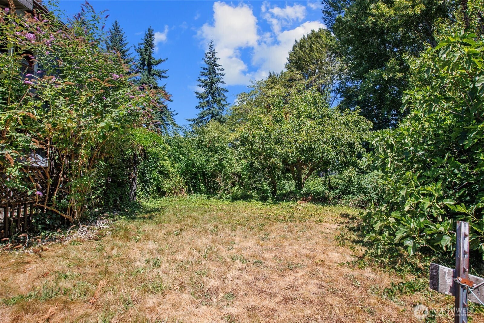 Property Photo: 428 Raye Street WA 98109