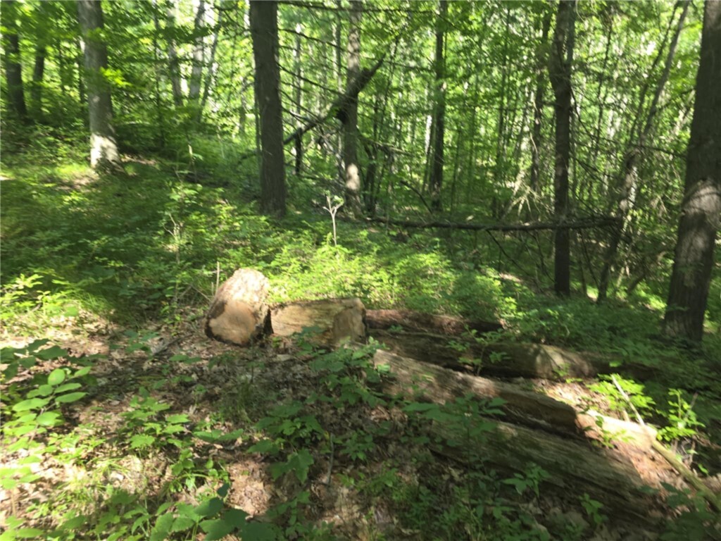 Property Photo: Whitcomb Road NY 14879