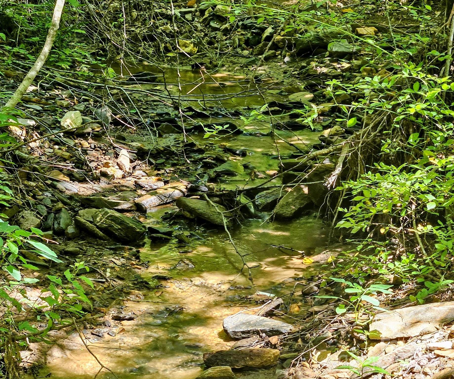 Property Photo:  99 Banjo Branch Road  NC 28714 