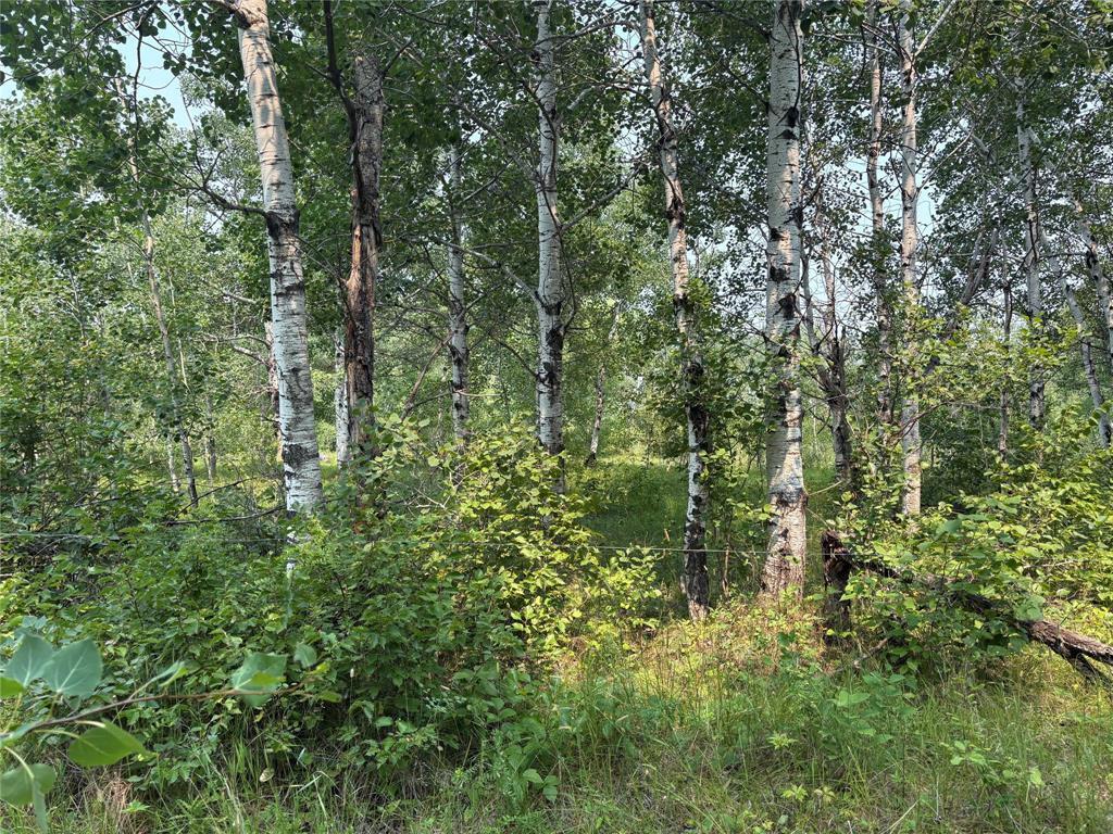 1 33N Road  La Broquerie MB R0A 0W2 photo