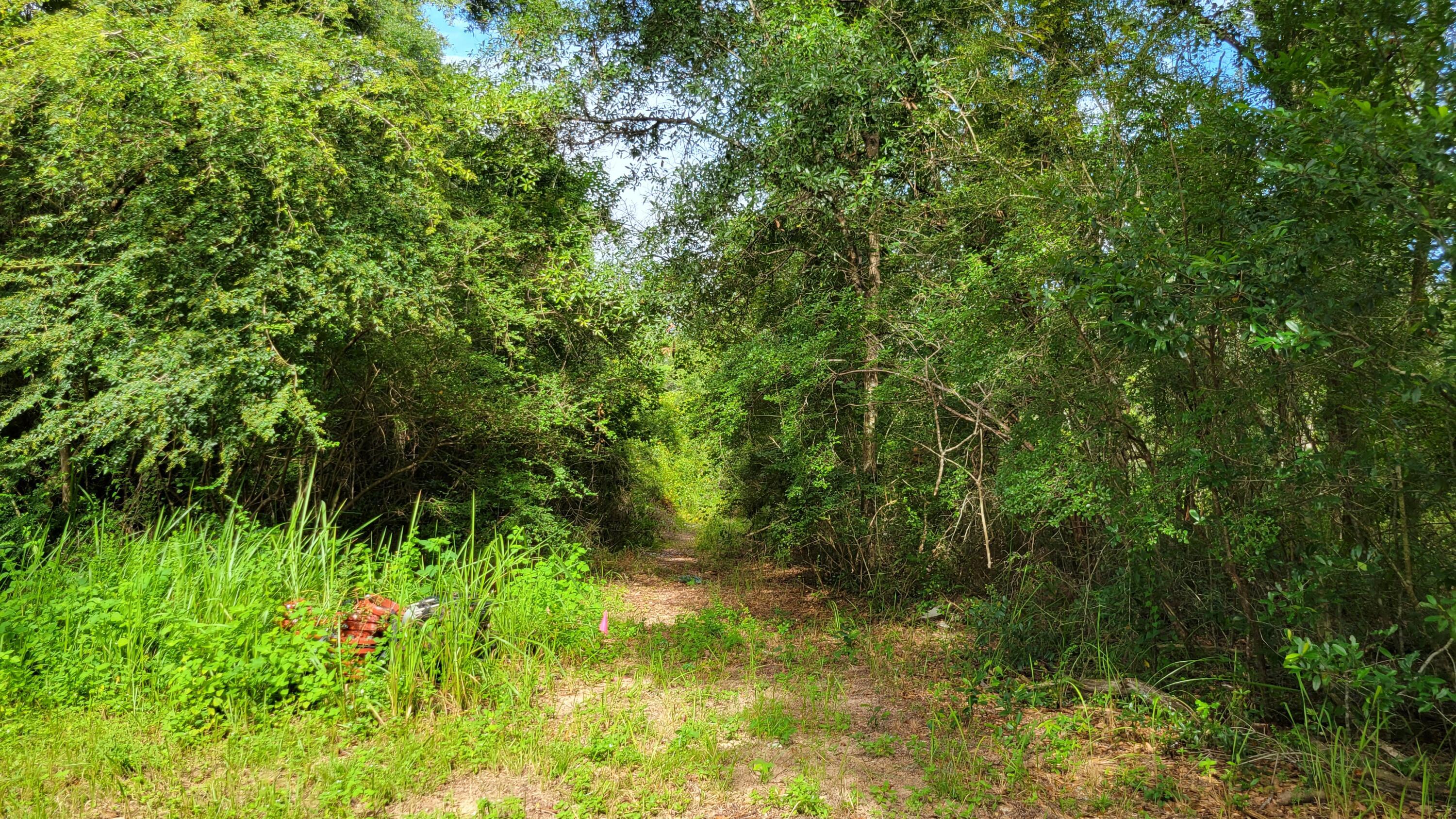 Property Photo: 00 NE Second Avenue FL 32539