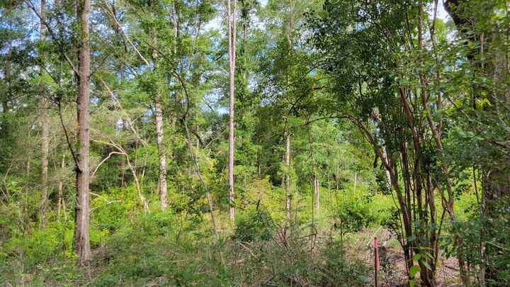 Property Photo:  00 NE Second Avenue  FL 32539 