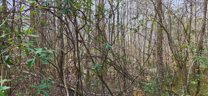 Property Photo:  00 NE Second Avenue  FL 32539 