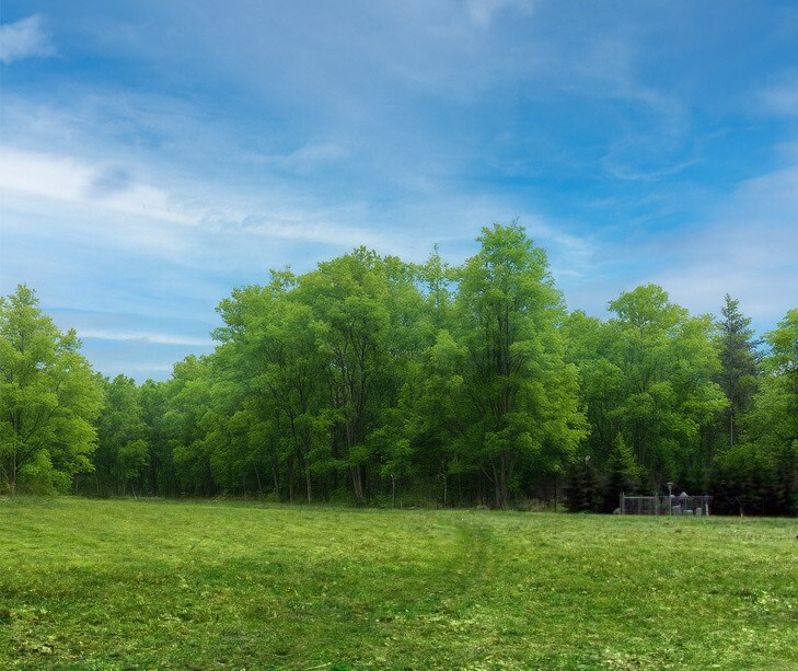 Property Photo: Thoroughbred Loop PA 16506