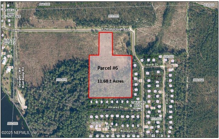 Parcel 6 E Hillsborough Avenue  Florahome FL 32140 photo