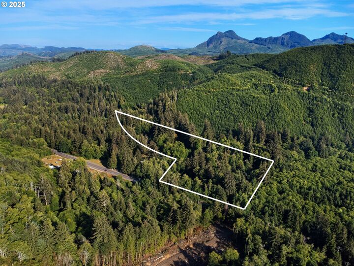 Property Photo: Vl Adj 36046 Hwy 26 OR 97138