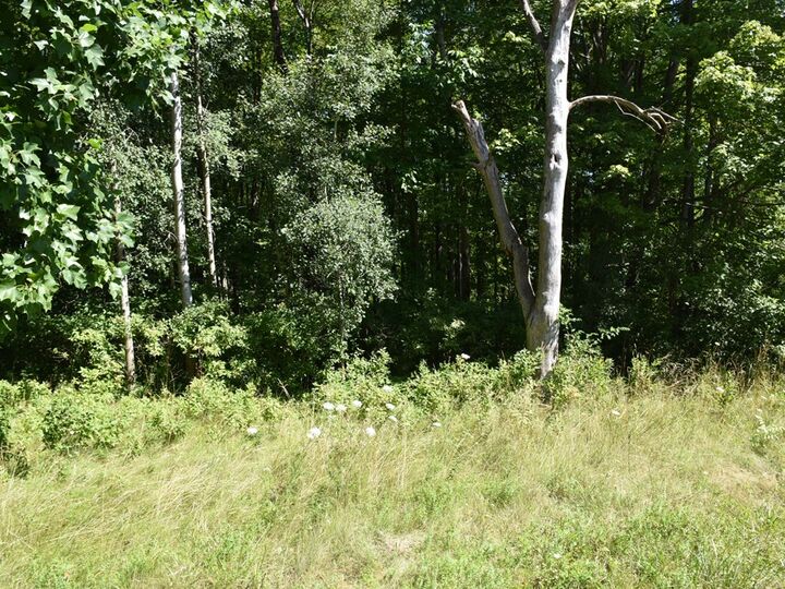 Property Photo:  3210-72-6 Blooming Valley Road  PA 16335 