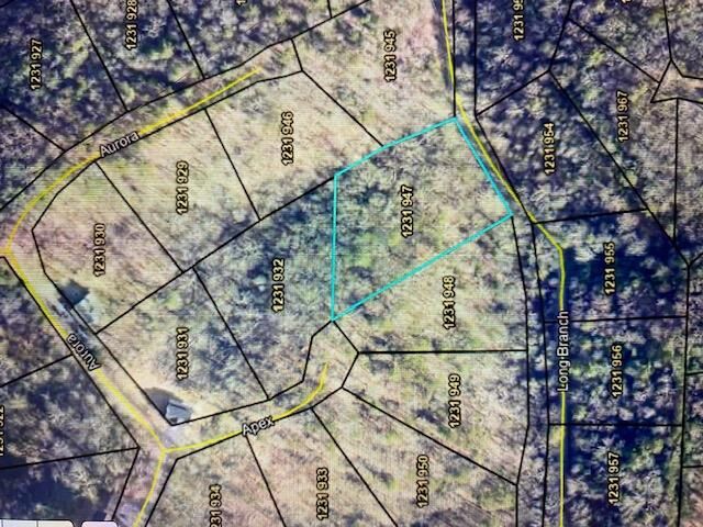 947 Longbranch Drive  Ranger GA 30734 photo