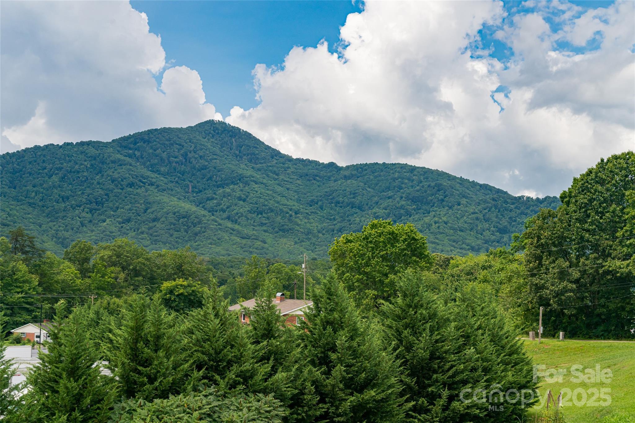Property Photo: 78 Hillcrest Drive NC 28715